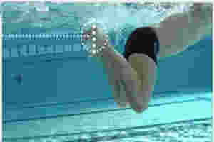 ����Ӿ�е�������ʲô����