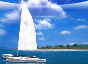 ����һ�����������