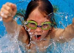 �����ѡӾ�� Ӿ����ѡ����