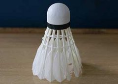 �����ÿ��Դ���ë�� ����������������