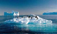 ȫ���ů��Σ�� ȫ���ů��ʲôΣ��