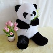 O��Ѫ��Ů���Ը�������ô�� O��Ѫ��Ů���Ը�