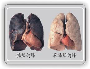 香烟的危害 抽烟会带来什么危害