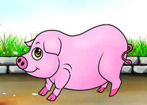 7月13日至19十二生肖本周运势