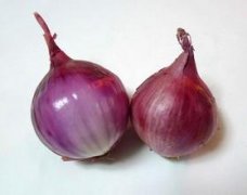 ��гԶ��˺ò��� �����кò���