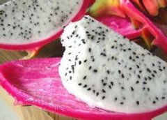 �������Զ����ϻ��� �������ܲ��ܶ��