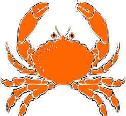 巨蟹男和双鱼女配对好不好