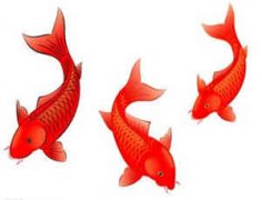 2015��7�µڶ�������������˫����