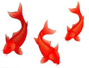 2015��7�µڶ�������������˫����