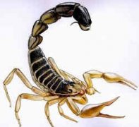 ��Ы���Ǽ��¼��ŵ����¼��� �������ڲ�ѯ