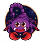 11��12����ʲô���� ʮ����������