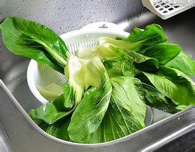 �߲˿��ԷŶ�� �߲˷ž��ж���