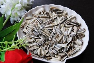 啃瓜子的坏处 啃瓜子对人的危害是什么