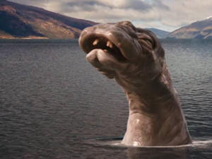 ���������μ�ˮ������Ӿ������ʲô