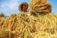 �μ��ո����յ��� �ܹ������ո���