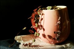 ��֮������ֳ���� ����ֺð�֮��