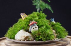 ̦޺ֲ���������� ����ֺ�̦޺