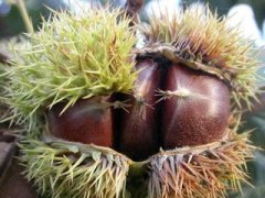 �μ������� �ܹ����ΰ�����