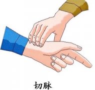 �μ���ҽ������ʲô��˼ �ܹ����κ���