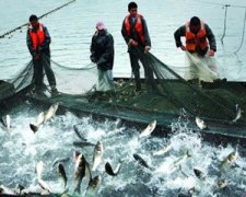 �μ������ʲô��˼ �ܹ��������