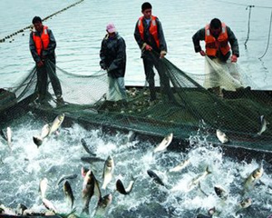 �μ������ʲô��˼