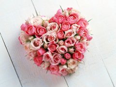 õ�廨�Ĵ�˵ õ�廨���Ļ�