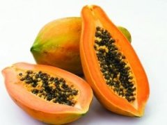 �μ�ľ����ʲô��˼ �ܹ�����ľ��