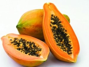 �μ�ľ����ʲô��˼