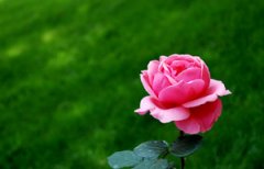 �¼�������ֳ���� ����ֺ��¼�