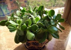 ����Ƥ����ֳ���� ����ֺú���Ƥ