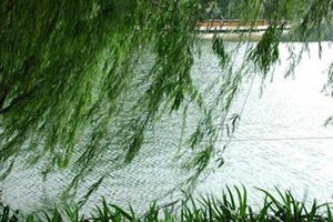 �μ�������ʲô��˼