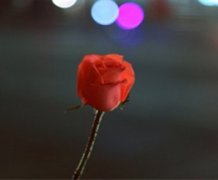 �μ�����������ʲô��˼ �ܹ����ΰ�������