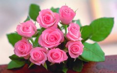 õ�廨����ֳ���� ����ֺ�õ�廨