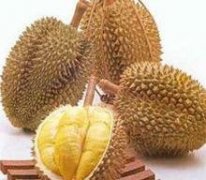 �μ�������ʲô��˼ �ܹ���������