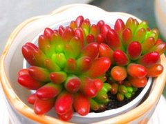 ��֮�����ֳ���� ����ֺú�֮��