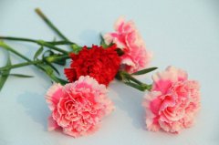 ����ܰ�Ļ��� ����ܰͼƬ����