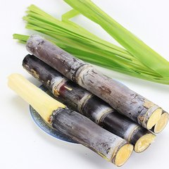 孕妇能吃甘蔗吗孕期的饮食指南
