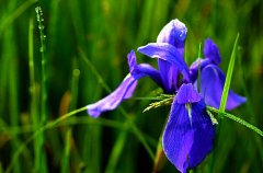 �β������ �β��ͼƬ����