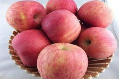 �μ���ƻ����ʲô��˼ ƻ���ξ�����