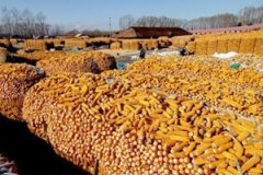 �����μ����� �μ����ֵ�Ԣ��