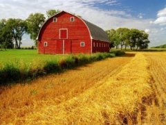 �ܹ������μ��Ȳ� �Ȳ��ξ�����