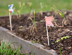 ���ŷ粼�ձ�־�� ԰�ձ�־С���������̳�