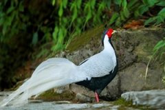 �����μ����� �μ����µ�Ԣ��