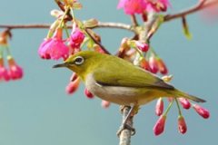 �����ε���ȸ �μ���ȸ��Ԣ��