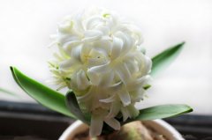 �����ӻ��� �����ӵ�ͼƬ