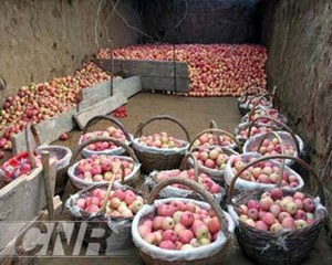 �ܹ������μ��ؽ�