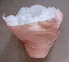 ݮֹ̳