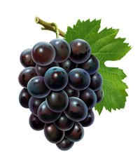 �и��ܲ��ܳ�����