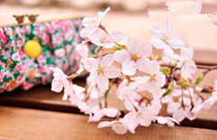 ���ƽ¿ڽ��ֹ���