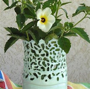 ��Ʒ�ֹ�����֮����ƿ�ֹ�����������ƿͼ��